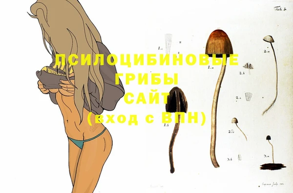 индика Елабуга