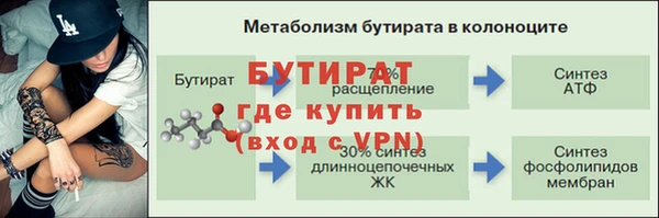 индика Елабуга