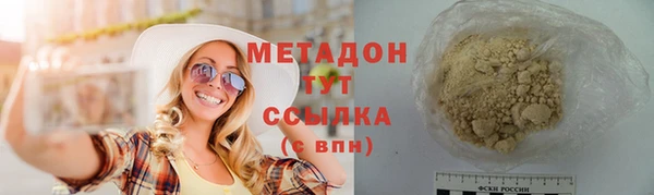 прущие грибы Пестово