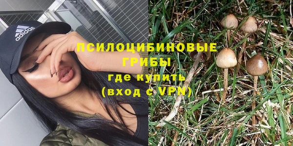 мяу мяу мука Осинники