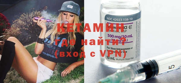 индика Елабуга